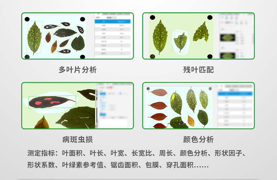 拍照式葉面積測(cè)量儀